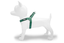 Load image into Gallery viewer, MORSO LABYRINTH  HARNESS MINI -XL