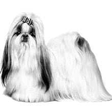 Load image into Gallery viewer, ROYAL CANIN Shih Tzu Adult Dry Dog Food 1.5KG