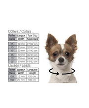 Load image into Gallery viewer, SALE MILK AND PEPPER Calavera Leather Collar