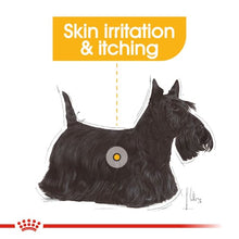 Load image into Gallery viewer, ROYAL CANIN Mini Dermacomfort 3KG