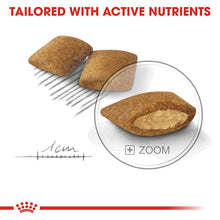 Load image into Gallery viewer, ROYAL CANIN Mini Exigent 3KG