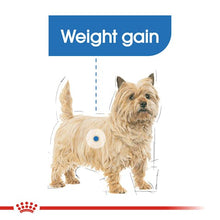 Load image into Gallery viewer, ROYAL CANIN Light Weight  WET (12X85G)