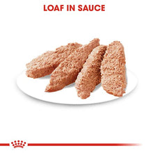 Load image into Gallery viewer, ROYAL CANIN Light Weight  WET (12X85G)