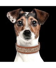 Load image into Gallery viewer, MILK AND PEPPER Quartz Collar