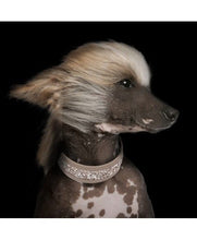 Load image into Gallery viewer, MILK AND PEPPER Quartz Collar