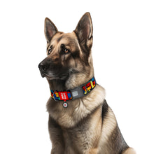 Load image into Gallery viewer, WAUDOG Nylon dog collar and leads with QR passport, "Blocks" design, plastic fastex,