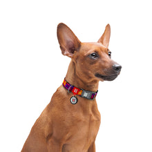 Load image into Gallery viewer, WAUDOG Nylon dog leash and collars  "3D Cubes" design