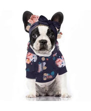 Load image into Gallery viewer, MILK & PEPPER Derbyshire Hoodie