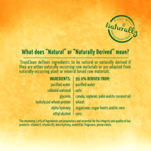 Load image into Gallery viewer, TROPICLEAN FLEA & TICK BITE RELIEF SPRAY FOR PETS