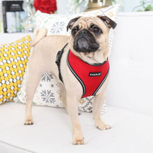 Load image into Gallery viewer, PUPPIA TREK HARNESS A