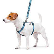 Load image into Gallery viewer, Harness for dogs anatomical  WAUDOG Nylon with QR passport, with pattern "Ethno