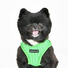 Load image into Gallery viewer, SALE PUPPIA BONNIE HARNESS B