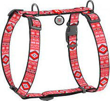 Load image into Gallery viewer, Harness for dogs anatomical  WAUDOG Nylon with QR passport, with pattern "Ethno