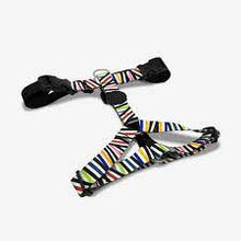 Load image into Gallery viewer, MORSO  H Harness