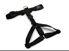 Load image into Gallery viewer, MORSO  H Harness