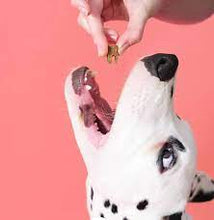 Load image into Gallery viewer, POOCH & MUTT – DUCK & ROSEMARY – DENTAL – MEATY DOG TREATS