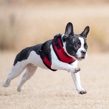 Load image into Gallery viewer, PUPPIA RITEFIT® HARNESS