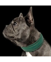 Load image into Gallery viewer, €5 SALE! MILK AND PEPPER Emeral Trocadero Collar
