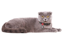 Load image into Gallery viewer, WAUDOG Nylon dog collar and leads with QR passport, "Blocks" design, plastic fastex,