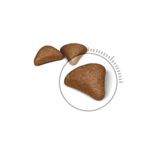 Load image into Gallery viewer, ROYAL CANIN HAIRBALL 2KG