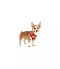 Load image into Gallery viewer, PUPPIA Baxter Harness  Orange
