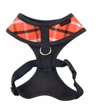 Load image into Gallery viewer, PUPPIA Baxter Harness  Orange