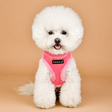 Load image into Gallery viewer, PUPPIA SUEDE HARNESS and LEAD