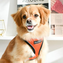 Load image into Gallery viewer, PUPPIA SOFT HARNESS PRO