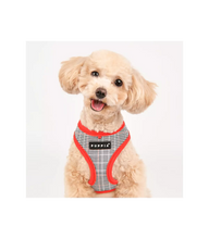 Load image into Gallery viewer, PUPPIA BLAKE HARNESS