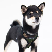 Load image into Gallery viewer, PUPPIA SOFT SUPERIOR HARNESS A