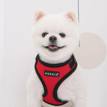 Load image into Gallery viewer, PUPPIA SOFT SUPERIOR HARNESS A