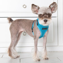 Load image into Gallery viewer, PUPPIA SOFT SUPERIOR HARNESS A