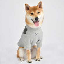Load image into Gallery viewer, PUPPIA LAZARUS TEE COZY WINTER