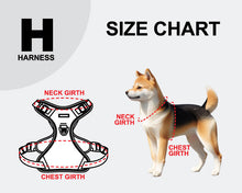 Load image into Gallery viewer, PUPPIA ABSTRACT HARNESS H
