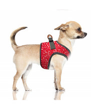 Load image into Gallery viewer, Milk & Pepper  Sidonie Harness