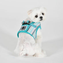 Load image into Gallery viewer, PUPPIA THEROS HARNESS B