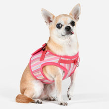 Load image into Gallery viewer, PUPPIA THEROS HARNESS B