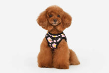 Load image into Gallery viewer, PUPPIA BACOPAS HARNESS B