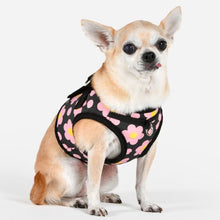 Load image into Gallery viewer, PUPPIA BACOPAS HARNESS B