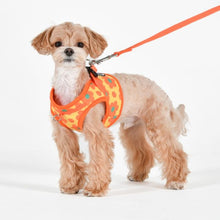 Load image into Gallery viewer, PUPPIA BACOPAS HARNESS B