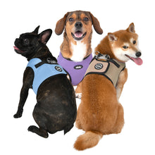 Load image into Gallery viewer, Puppia OLCHI LED Combi Harness