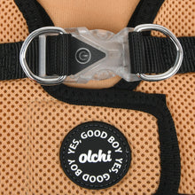 Load image into Gallery viewer, Puppia OLCHI LED Combi Harness