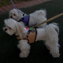 Load image into Gallery viewer, Puppia OLCHI LED Combi Harness