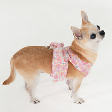 Load image into Gallery viewer, PINKAHOLIC AMABEL HARNESS