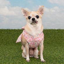 Load image into Gallery viewer, PINKAHOLIC AMABEL HARNESS