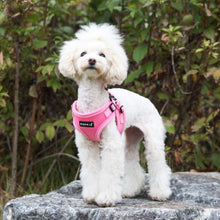 Load image into Gallery viewer, PUPPIA SOFT HARNESS C