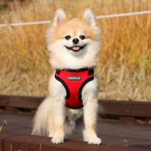 Load image into Gallery viewer, PUPPIA SOFT HARNESS C
