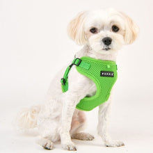 Load image into Gallery viewer, PUPPIA SOFT HARNESS C