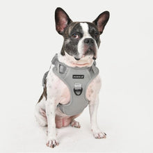 Load image into Gallery viewer, PUPPIA JAREK HARNESS H