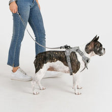 Load image into Gallery viewer, PUPPIA JAREK HARNESS H